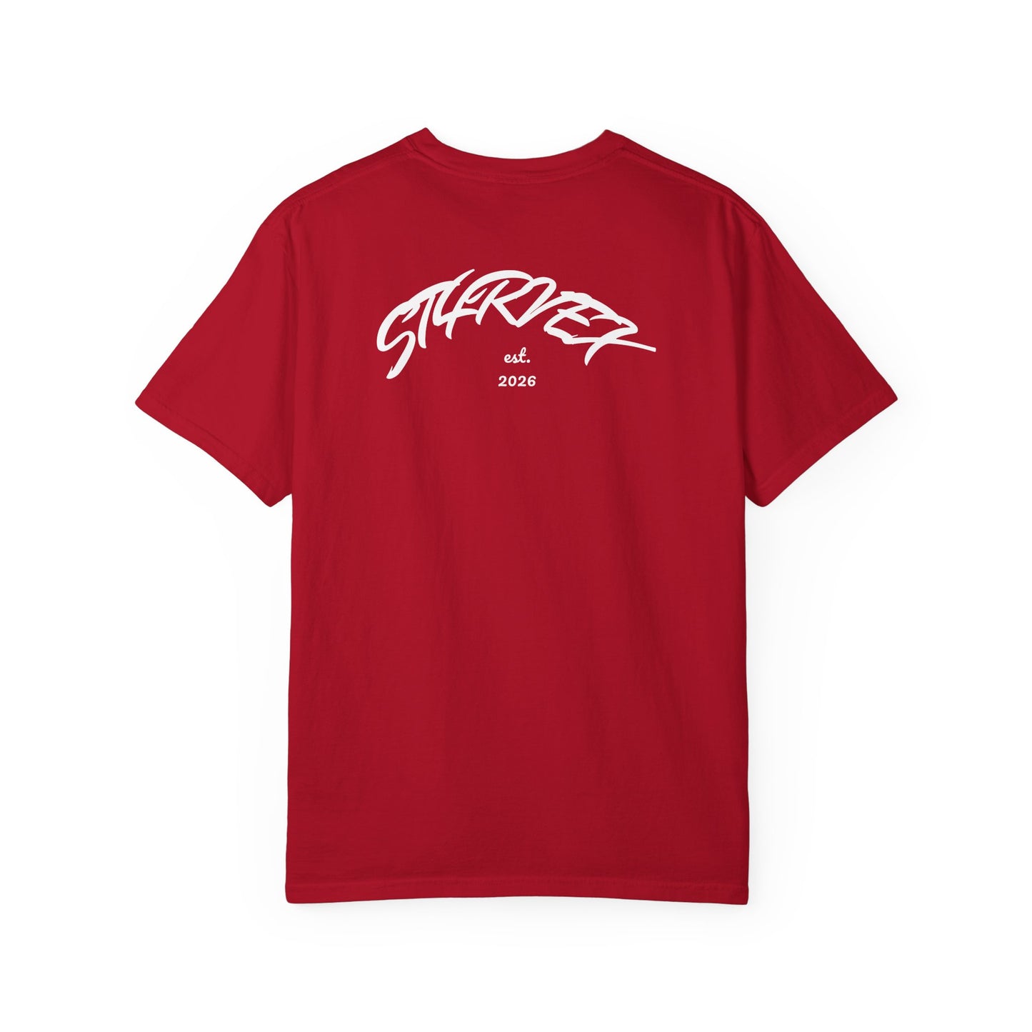 StarVex retro sparkles T-Shirt | vintage star logo tee, celestial graphic